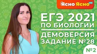 ЕГЭ по биологии 2021 | Демоверсия, 2-ая часть | Решаем задания линии №28 | Ясно Ясно ЕГЭ