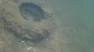 la vie sous l'eau