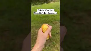 This Is Why You Shouldn’t Eat Twinkies 