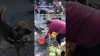 Dog shopping groceries in a flea market for its crippled owner, who is aware of its particular wants