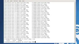 linux globbing tutorial