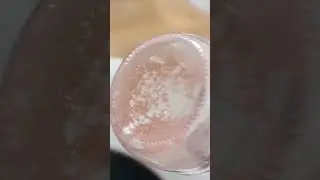 БРАГА ИЗ  ДЕШЕВОГО ГРАНАТОВОГО СОКА ИЗ СВЕТОФОРА