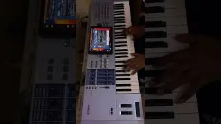 Korg Triton extreme in Motif Es 😉
