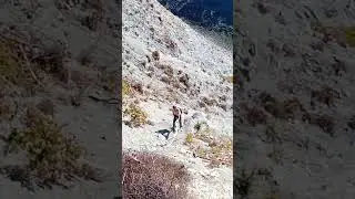 Ягоды в ягодицах😁