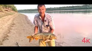 Рыбалка на закидушки с макухой. Ахтуба 2022.