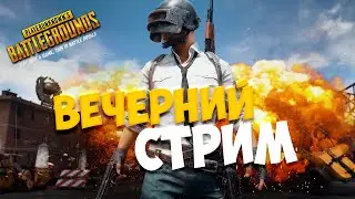 PlayerUnknown’s Battlegrounds. Вечерний стрим  [1440]