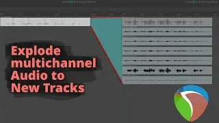 Reaper - Explode Multitrack/multichannel Items.