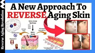 A NEW Approach To REVERSE AGING Skin At The Cellular Level : The Power Of Nitric Oxide | Dr Chernoff