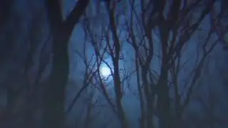ALIS - Я отдамся