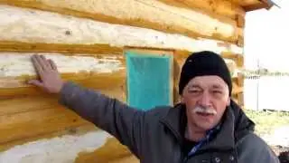 Убираем синеву на бревне / Как избавится от посинения бревна?