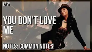 How to play You Don't Love Me (No No No) by Dawn Penn on Tin Whistle (Tutorial)