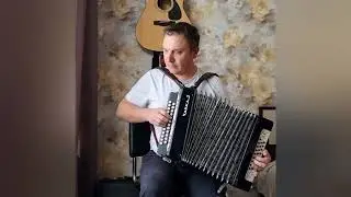 Гармонь Чайка2. Чёрная.