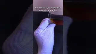 that one sock you always lose when doing laundry