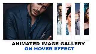 Animated Image Gallery on Hover Effect || HTML and CSS