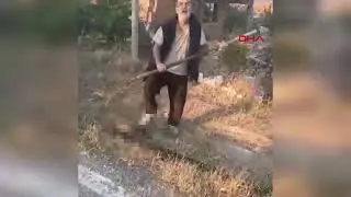 Ankara'da tarım aleti 'dirgen' ile yavru köpeği öldüren şüpheli tutuklandı