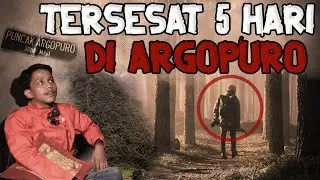 5 HARI TERSESAT DI GUNUNG ARGOPURO, KISAH MISTIS PENDAKIAN