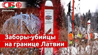 Латвия возводит заборы-убийцы – репортаж с белорусской границы