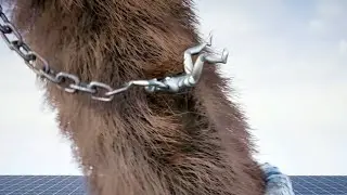 Climb on a Chain on Colossus Fur leg UE5.3