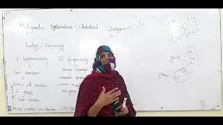 Phylogenetics Systematic Cladistics|Zoology|BS Program Lec By Ma'am Kausar Nadia ( Botany)
