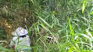 wanita Ketahuan disemak-semak