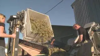 Wine Sense TV - Organic Winemaking at Dunham & Froese