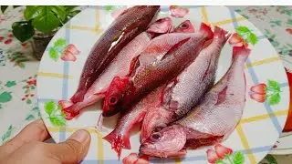 olahan ikan merah,balado ikan merah ,cooking,recipe,olahan ikan