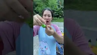 Survival Skills: SMART idea and USEFUL in Forest 