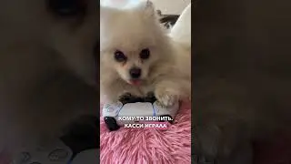 КАССИ ЧУТЬ НЕ УКРАЛИ 😭