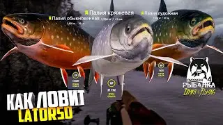 Русская рыбалка 4.🎣🦈 Ладожское оз. 🐋🐟🐟 💦 КАК ЛОВИТ LATORSO 👀