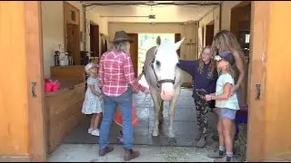 Vital People: Saanich's Heartfelt Farm reconnects kids with the outdoors