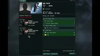 The Moment an Ibis Dropped 25 Large Skill Injectors