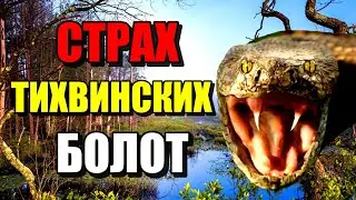 СТРАХ ТИХВИНСКИХ БОЛОТ!!! Страшные болота России!!! 