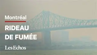 Incendies au Canada : Montréal suffoque sous la fumée, la France bientôt touchée