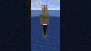 Enderman vs Arrows in Minecraft 🤔 
