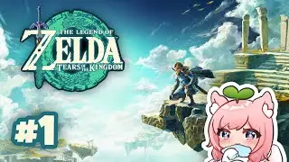 Legend of Zelda: Tears of the Kingdom Part 1 Faellie
