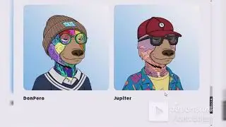 разбор Sui Bears ответы на вопросы