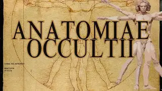Anatomiae Occultii  / Anatomía Oculta - Lo que ellos no querían que supieras | Canal del Aprendiz
