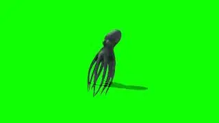 Octopus Greenscreen Animation| 2022 | No Copyright