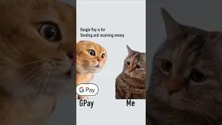 Google Pay is also a messaging app 