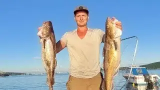 Ловим Треску на банке Зубр
