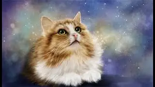 взаимка, общаемся с вами, набор в модераторы стрима!
