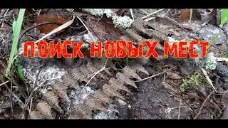 Коп по войне в Ленинградской  области.Фильм 42.Разведка новых мест.
