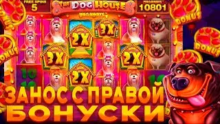 ЗАНОС С ПРАВОЙ БОНУСКИ В СЛОТЕ  The Dog House MEGAWAYS / ЗАНОС В СОБАКАХ / (ЗАНОСЫ НЕДЕЛИ)