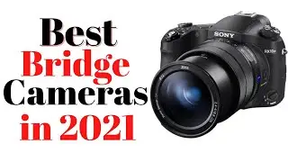 Top 5 BEST Bridge Cameras | BEST Bridge Cameras of 2021