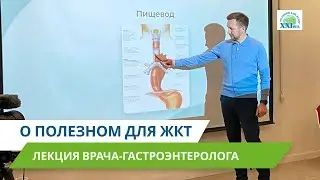 О полезном для ЖКТ | Лекция Дениса Костенкова