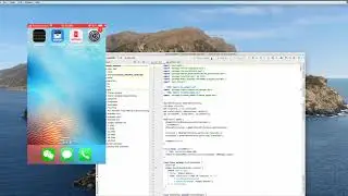 How To Run Flutter App On iOS Simulators And Real iOS Devices