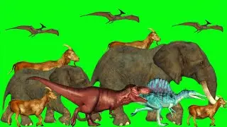 Convoy Animal Stampede Green Screen ‼️