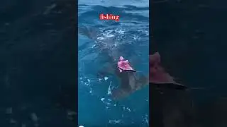 fish #fishing #shorts