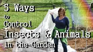 5 Ways to Control Insects and Animals in Your Garden, Cabbage Worms, Birds, Rodents