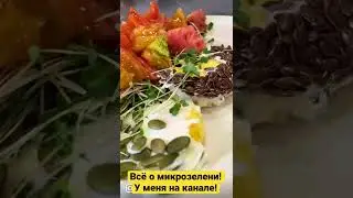 Ферма микрозелени у себя дома! Бизнес дома! Микрозелень!